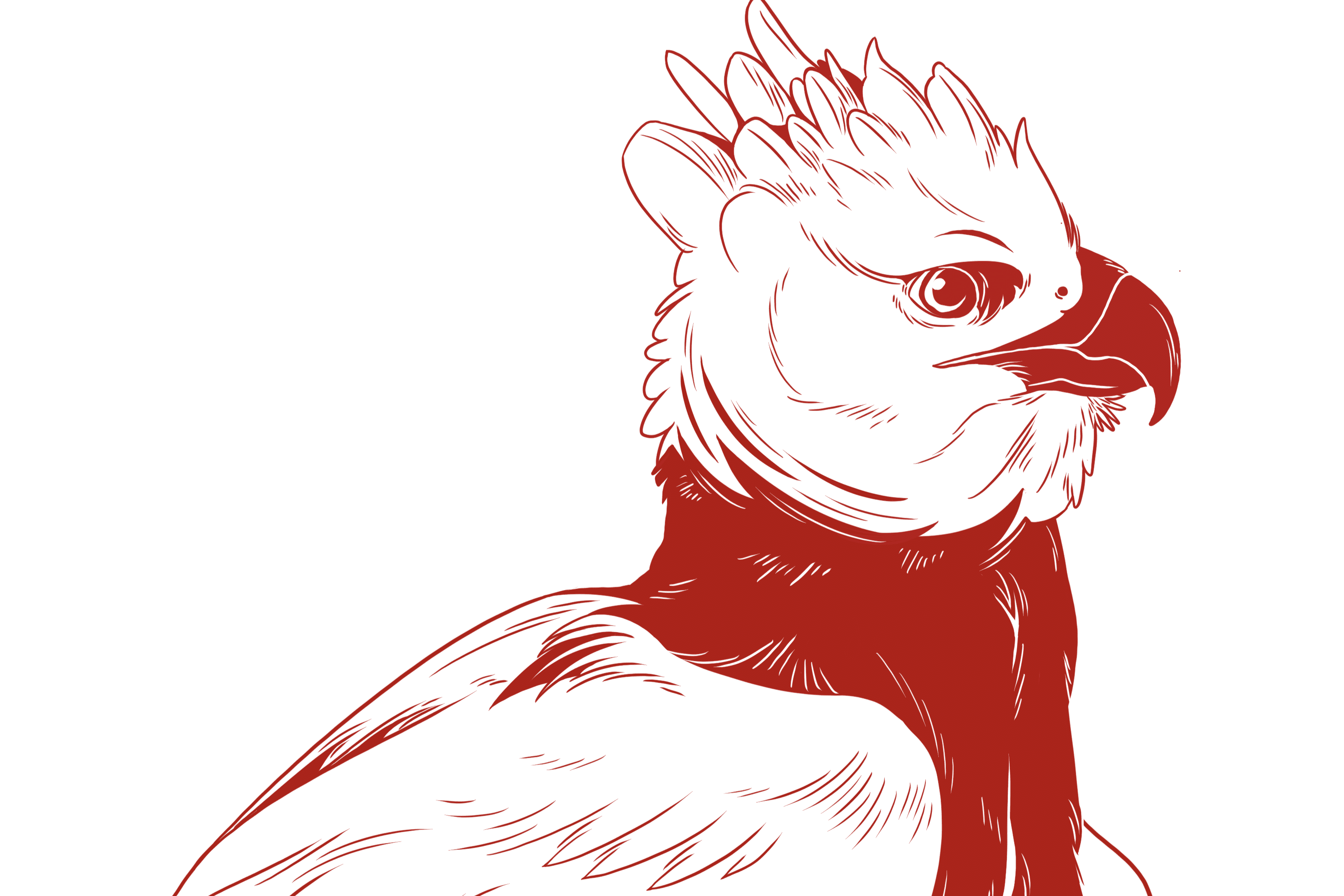 Harpy Eagle